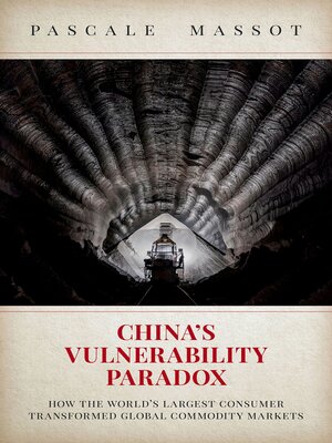 cover image of China's Vulnerability Paradox